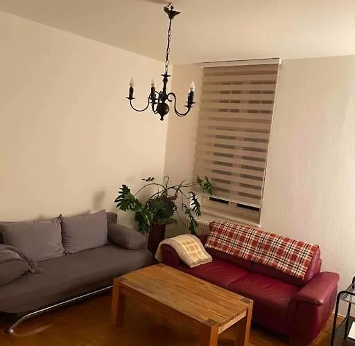 Schoene Altbauwohnung Mit Gruen In Ruhiger Lage Apartamento Leipzig